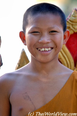 Buddhist Novice