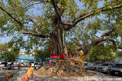 Phra Pathom Chedi