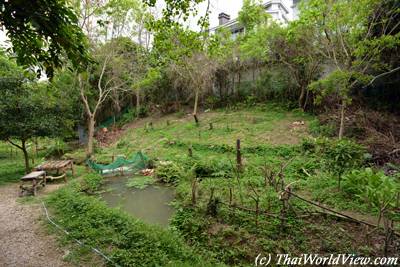 Wat Sai Kung