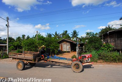 Thai farmer