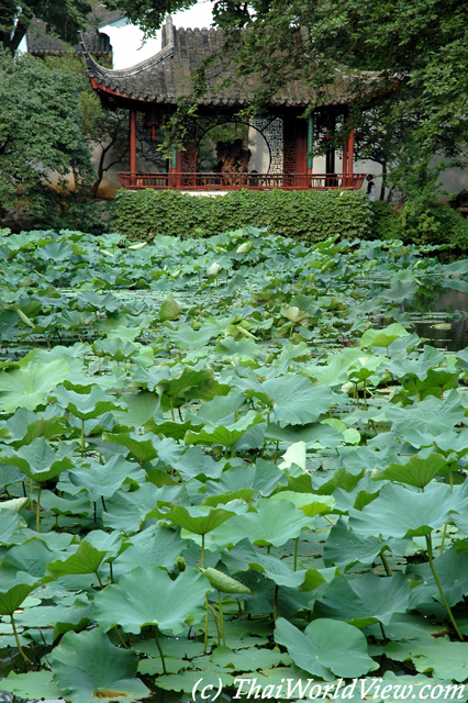 Suzhou garden - Suzhou