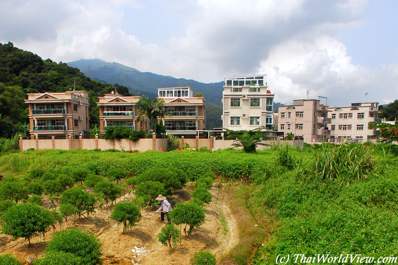 Countryside - Lam Tsuen Valley