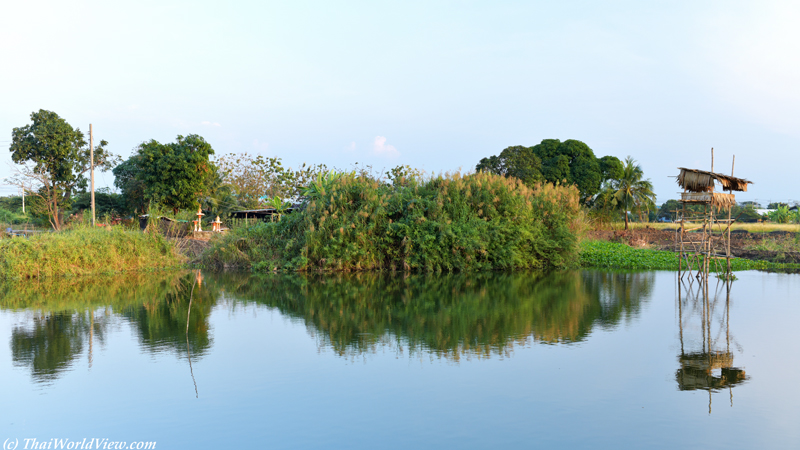 Pond - Nakhon Pathom