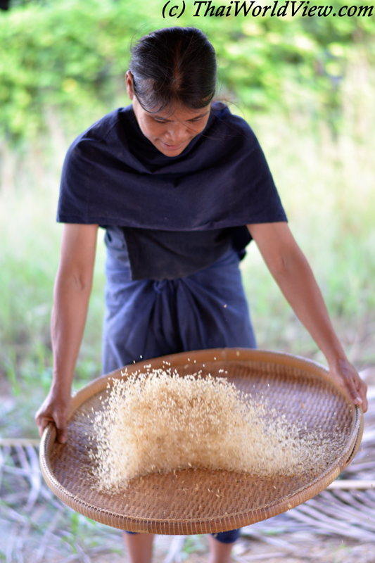 Threshing rice - Kanchanaburi