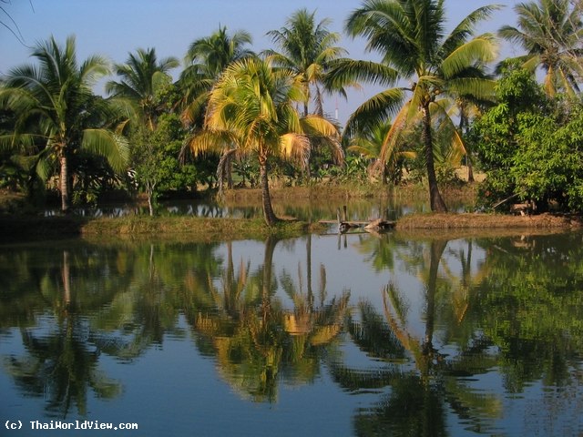 Pond - Nongkhai province