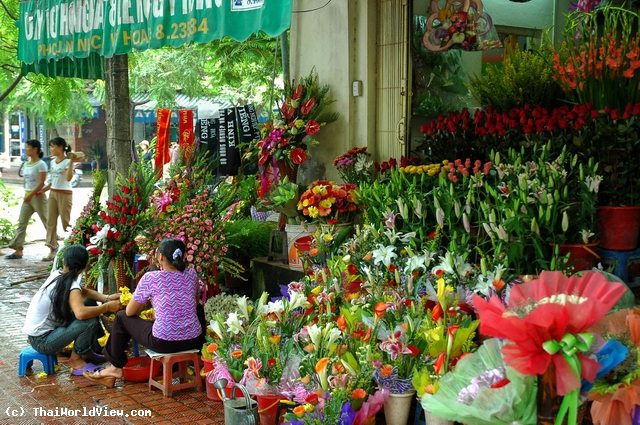 Flowers - Ba Dinh District