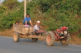 Thai farmers