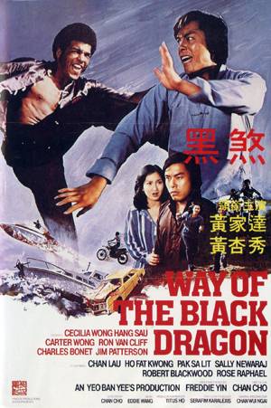 way of the black dragon