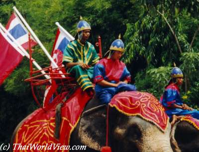 Thai elephant