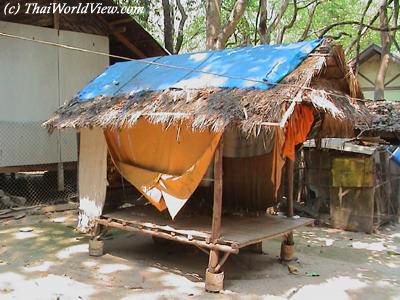 Monk hut in forest temple