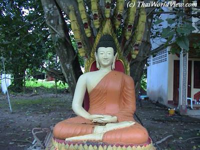 Meditating Buddha