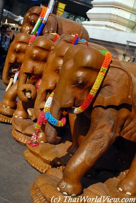Elephants offering