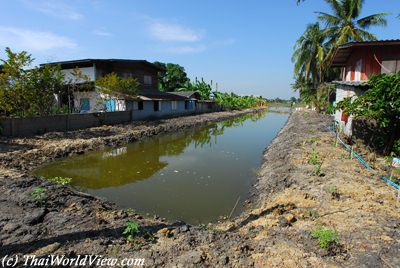 Fish pond