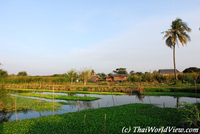 Countryside