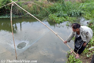 Catching fish