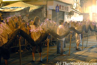 Tai Hang fire dragon