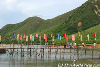 Hau Wong festival