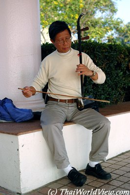 Erhu player