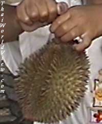 Durian