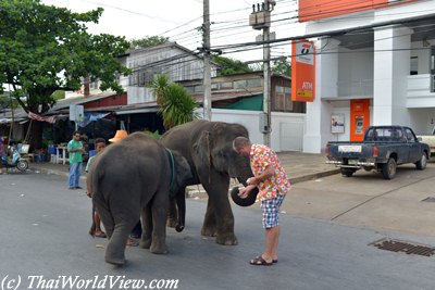 Yasothon Rocket Parade