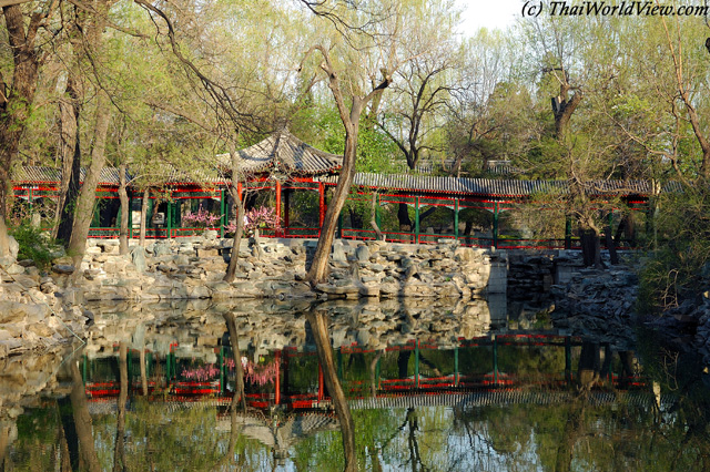 Chinese garden - Beijing