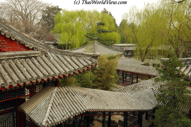 Chinese roofs - Beijing