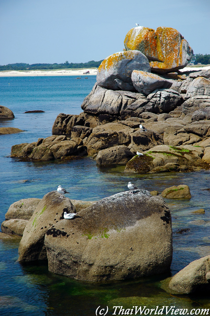 Brittany Coast - Pointe de Trevigon