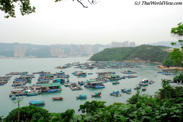 Fishing area - Ma Wan