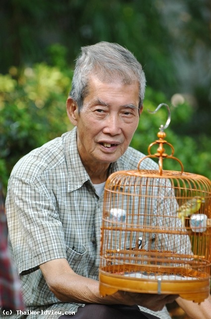 Selling bird - Yuen Po Street Bird Garden