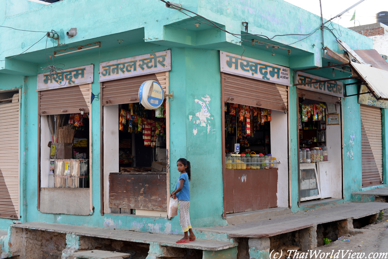 Local shop - Udaipur