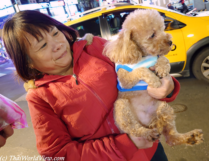 Dog - Taipei