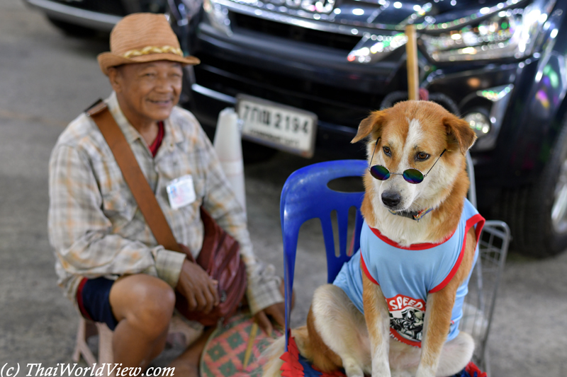 Dog show - Wat Lak Si Rat Samoson