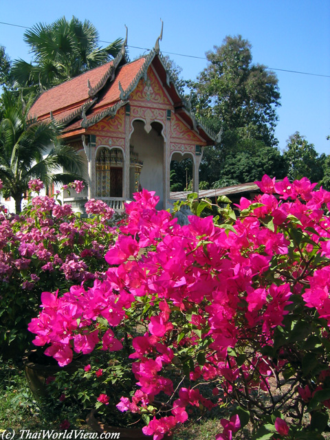 Wat Suan Tan - Nan province