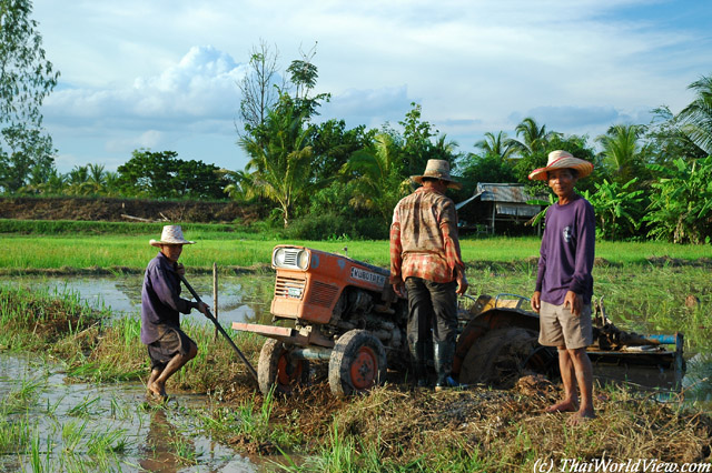 Thai farmers - Nongkhai province